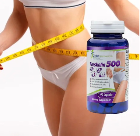 Forskolin Forskohlii 3-Pack