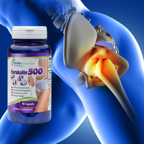 Forskolin Forskohlii  90-Capsules