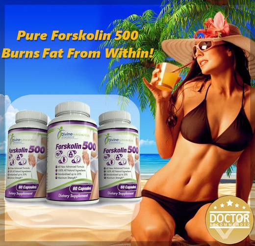 Forskolin 500